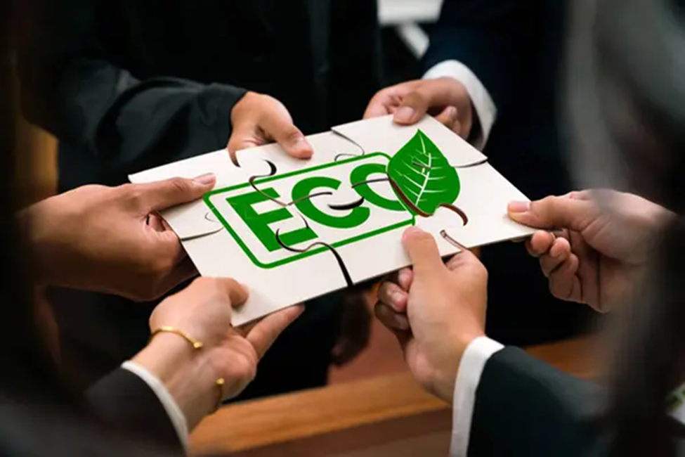 como ser más ecológico