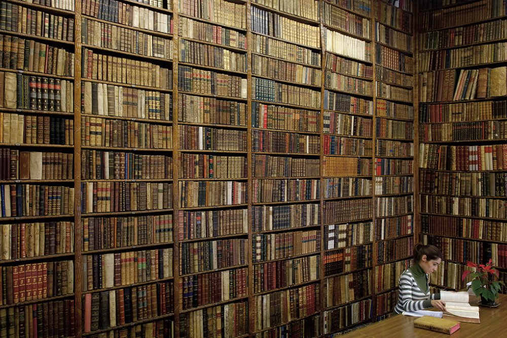 Librería Bardón, curiosidades arquitectónicas de Madrid, con paredes llenas de libros antiguos y una persona leyendo