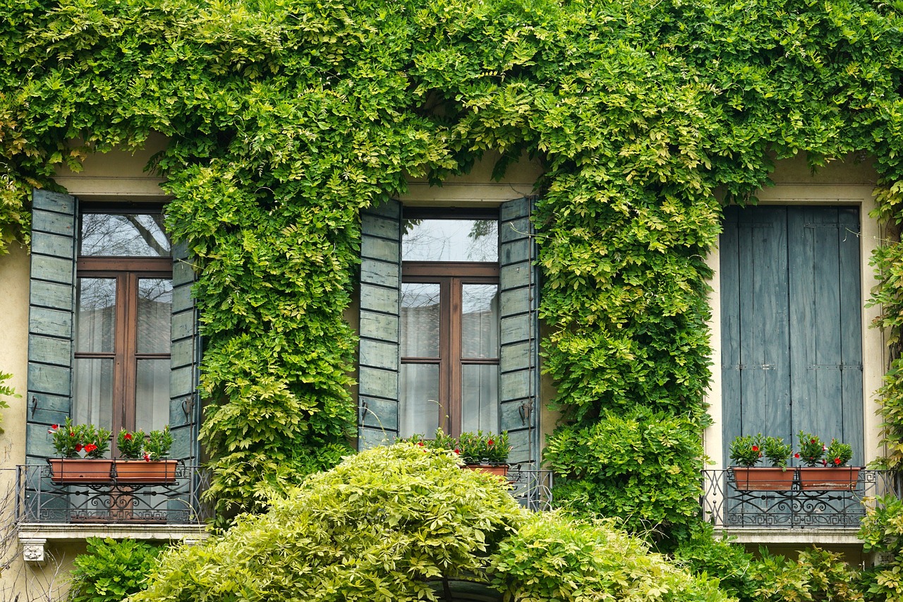 Casa con fachada vegetal para mejorar el aislamiento térmico