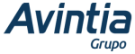 Avintia grupo